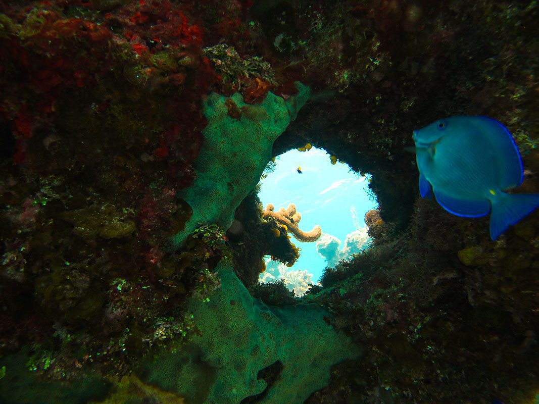 Coral hole - © Serenity