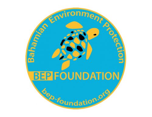 BEP-Foundation’s stickers