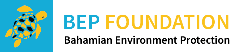 BEP Foundation Logo