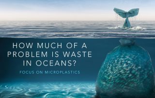 How much of a problem is waste in oceans?