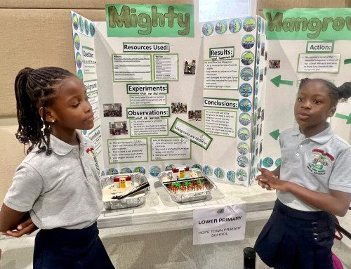 Science Fair 2022