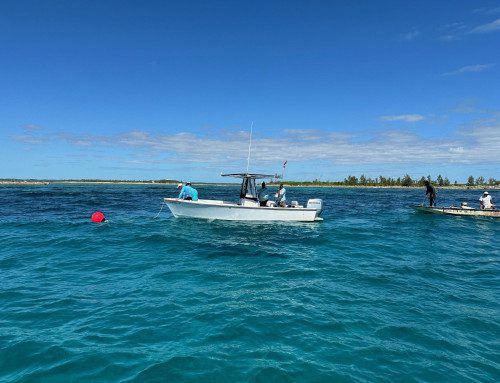 Sandy Cay Reserve Moorings